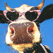 Avatar de Fernando
